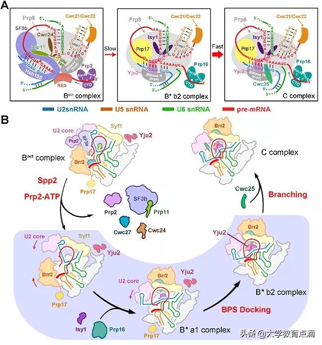 清华最新科技研究成果,清华大学尖端科技成果