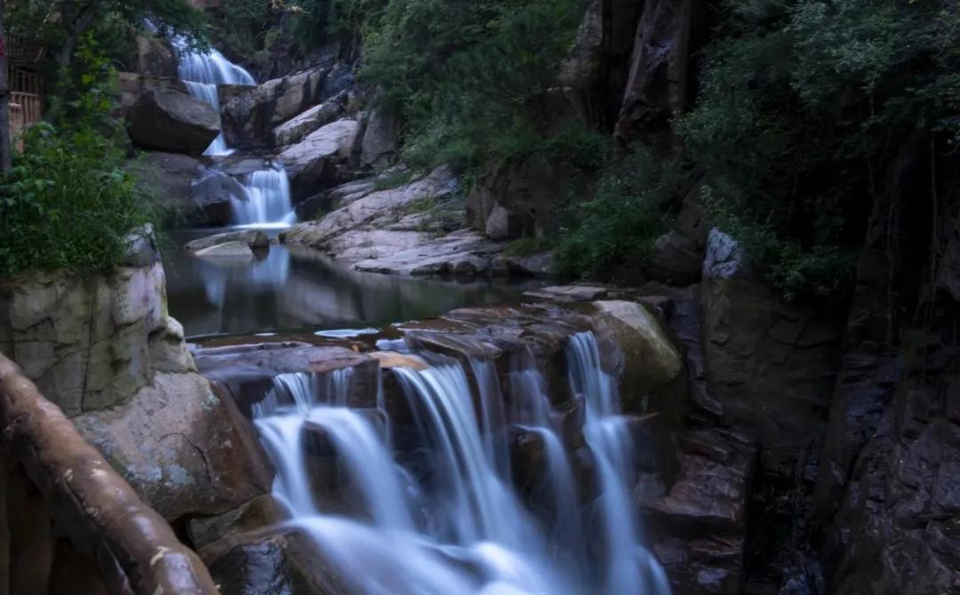 济南又添新避暑地!这处藏着雨林瀑布的“绿野仙踪”带你一秒穿越热带国度!