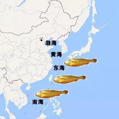 开捕啦3：黄鱼金灿灿，大黄鱼小黄鱼你爱哪一款？