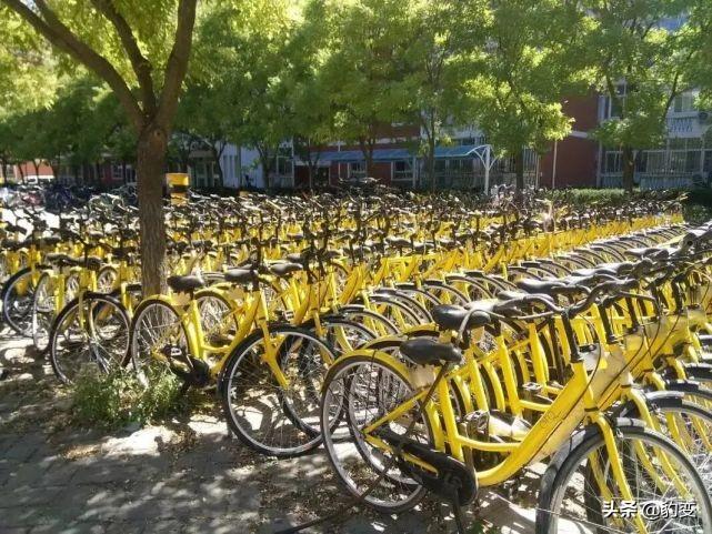 一个欠了27年的拥抱，让张玉环一家人走进了大众的心：8月长文榜单出炉