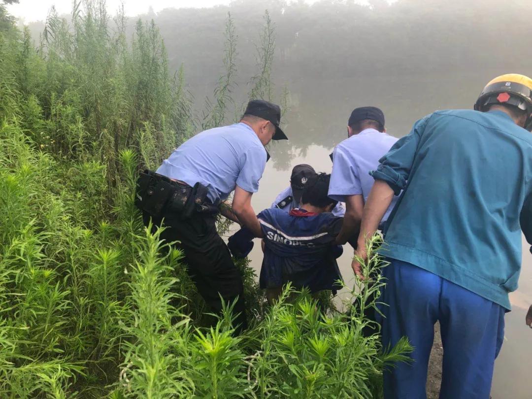 鼠标巡逻,探头站岗鼠标巡逻机制