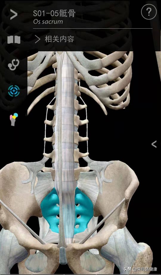 用3D来脊柱体表定位简单多了