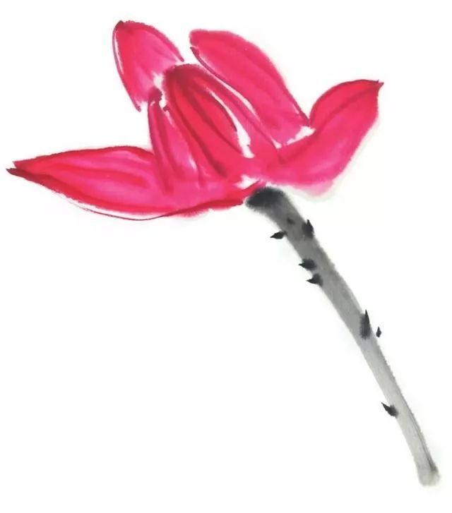 白描荷花100幅画法,荷花的画法白描图