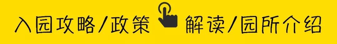 深圳市南山区鼎太风华幼儿园,深圳市南山区哪个幼儿园比较好