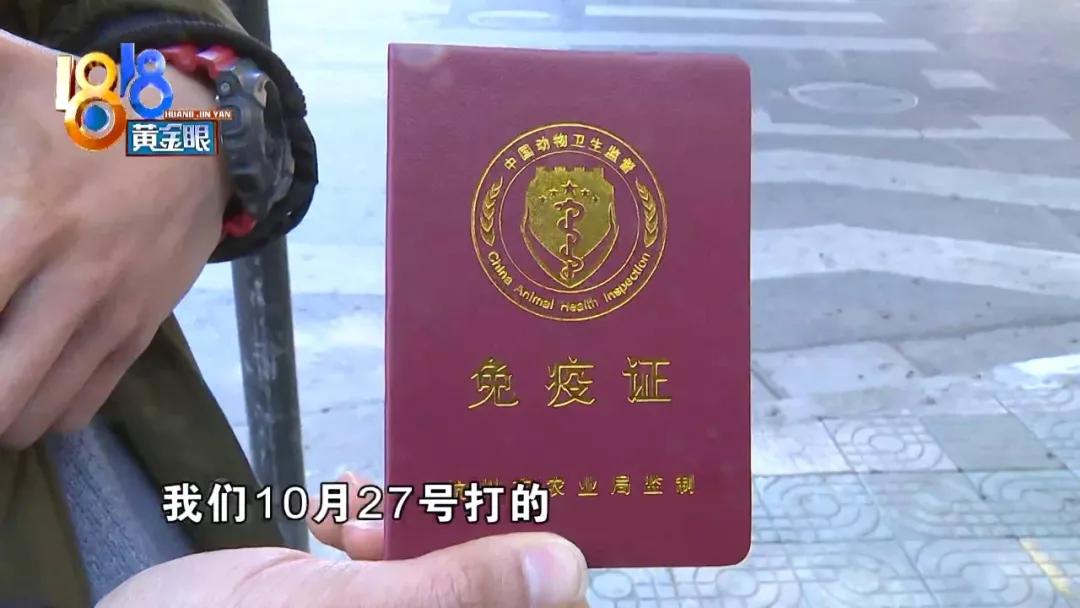 小狗背上一大块斑秃,小狗斑秃起皮屑