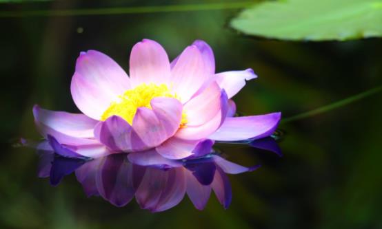 真正厉害的人懂得未雨绸缪,真正厉害的人是懂得隐忍的人