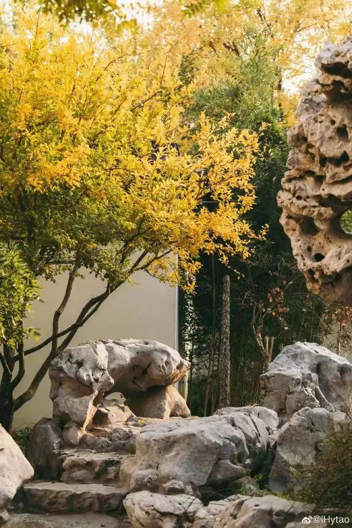 创森进行时丨立冬后，我把丰台的秋，收进了相册里