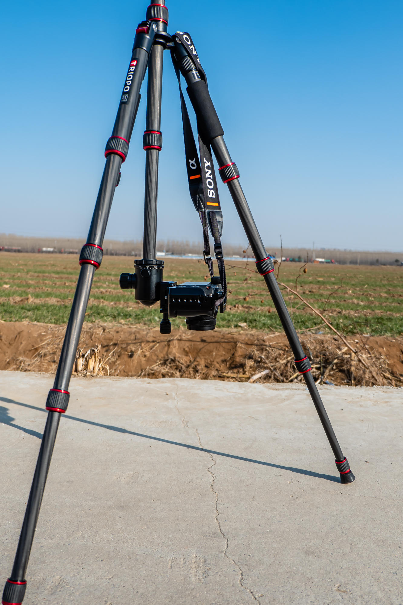 碳纤维三脚架平价推荐,性价比高碳纤维三脚架前十名