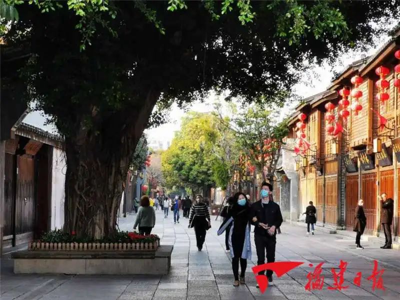 福建春天花海旅游攻略,福建春季游玩好去处推荐