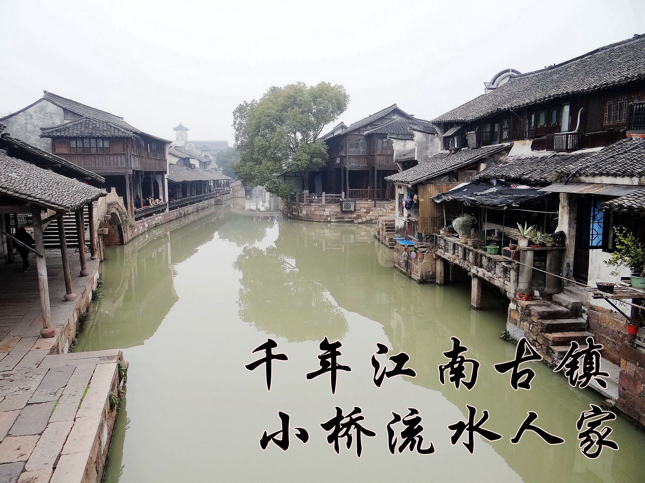 地处金三角，运河穿流过，建镇有千年，江南鱼米乡，知道这是哪里