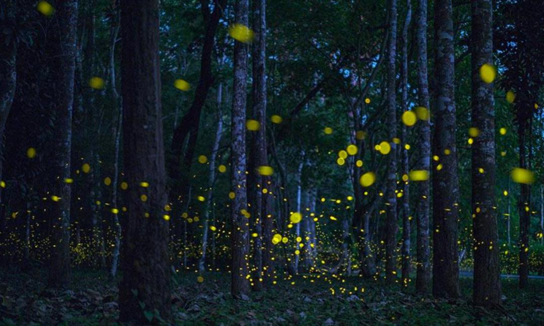 6月当季旅游景点推荐,四月10个超美旅游地推荐