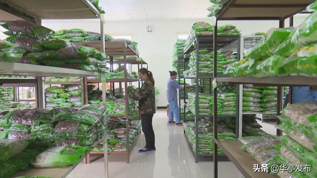 平凉青松中药饮片,华亭市青松中药饮片公司