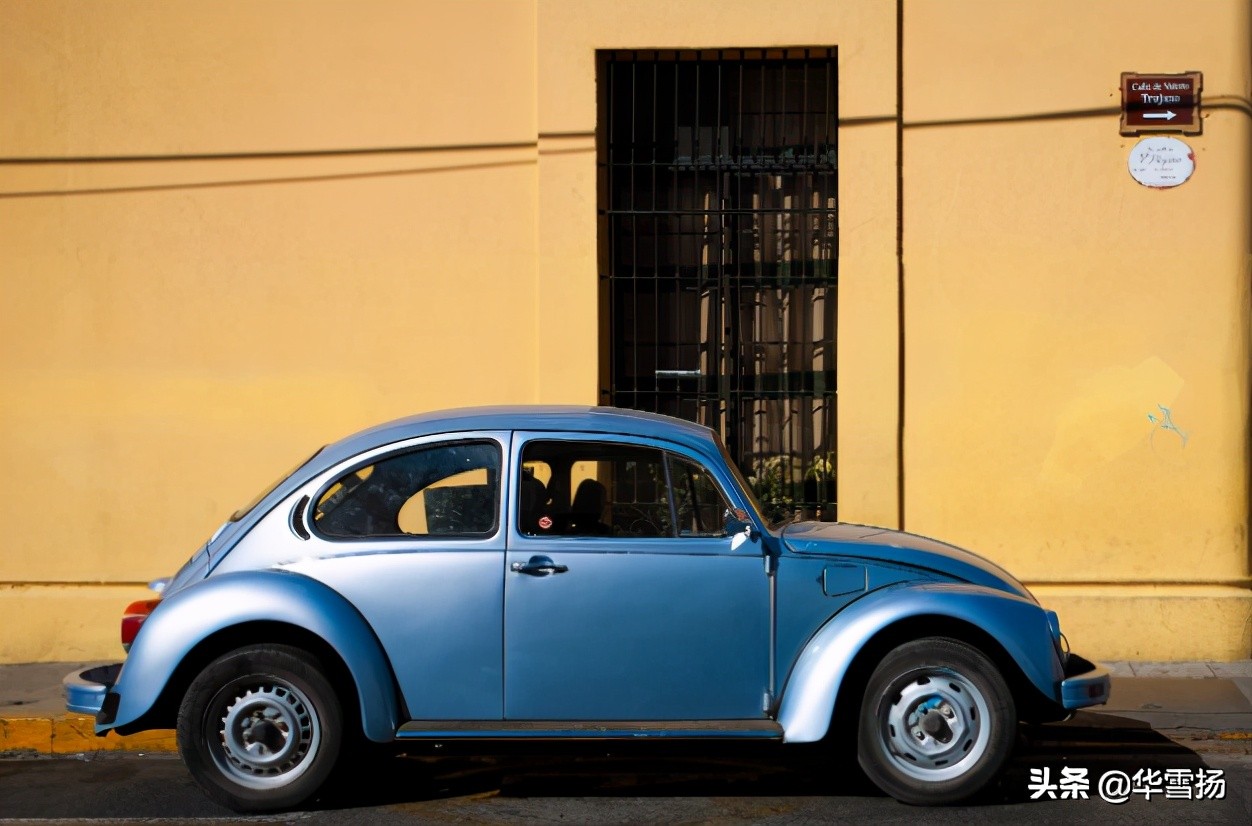 在这里你可以看到绚烂多彩的甲壳虫,因为他们是这里的精灵