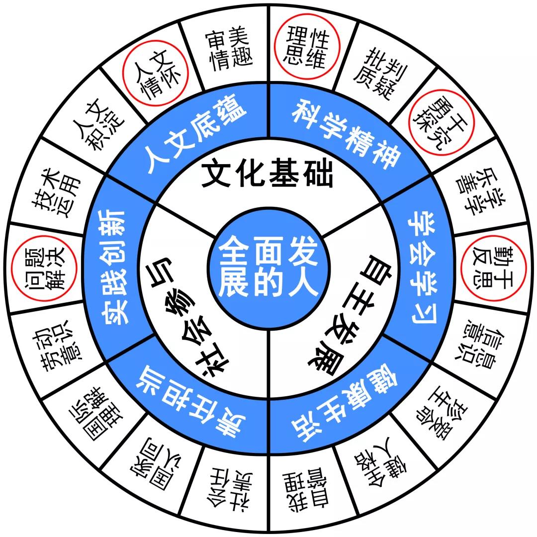 作文对话技巧,优秀作文亲情加赏析