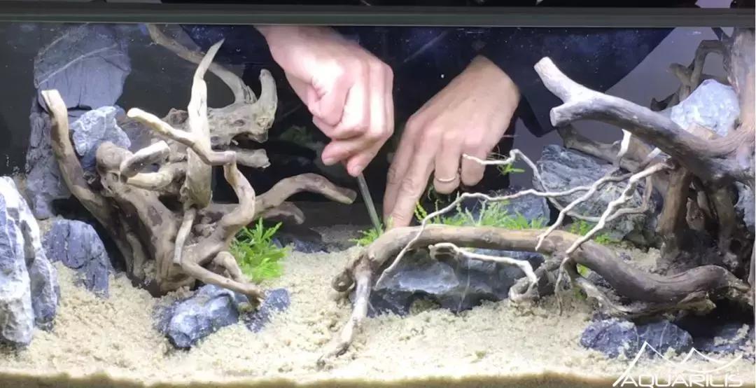 草缸造景教程：这个缸居然能装下一头“犀牛”？