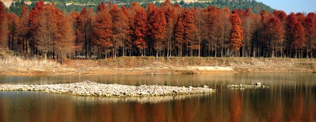 非洲偷石油有多疯狂？高危钱多每升仅卖4元，一年狂赚500亿