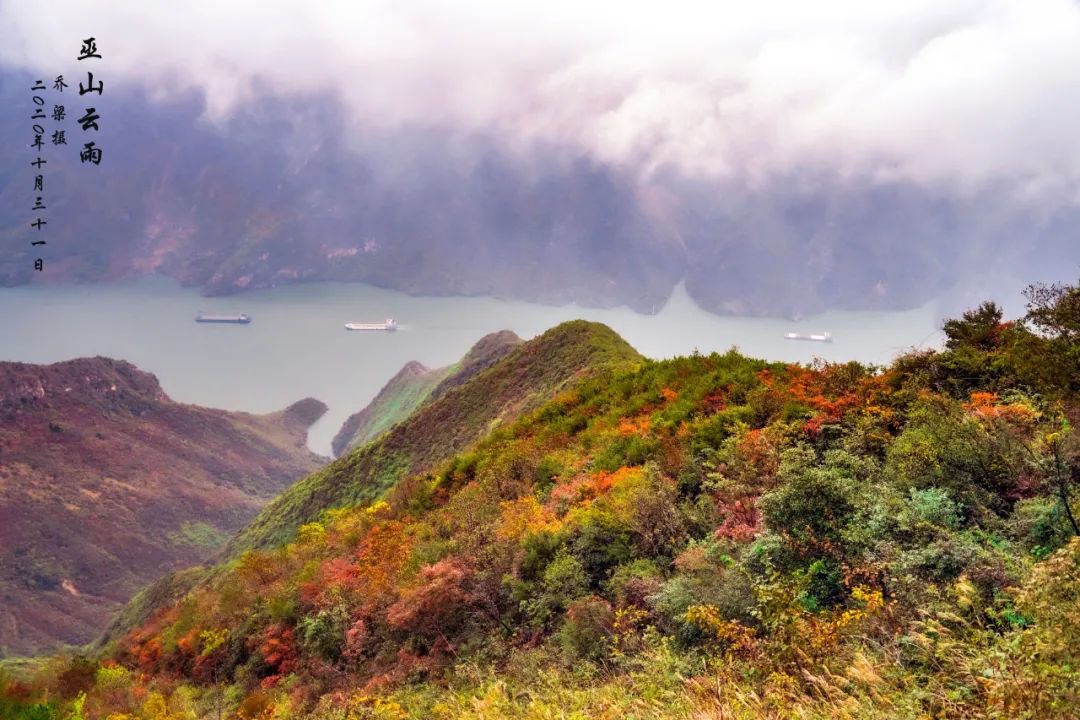 巫山红叶全攻略,巫山红叶2020