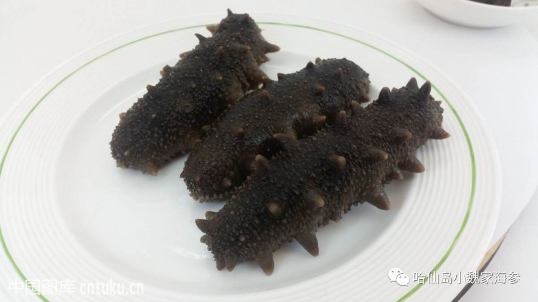 海参怎样吃才能发挥其最大化作用,海参的皮有营养还是筋有营养