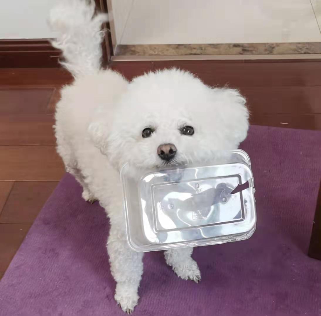 我活在自己的森林里，自我感动，泪流满面