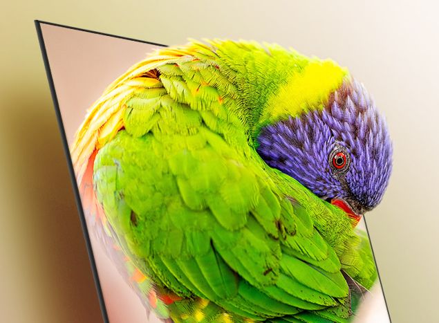 乐视性价比最高的一款,乐视55寸4k智能电视机推荐