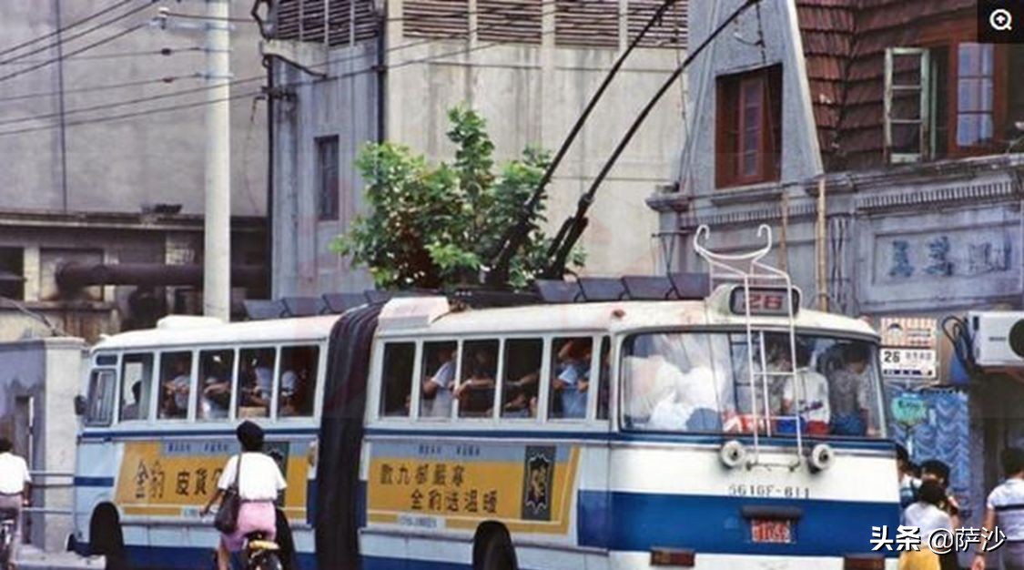 婚外孽缘让女教师对无辜女童泼硫酸：90年代杨晓霞残害儿童案件