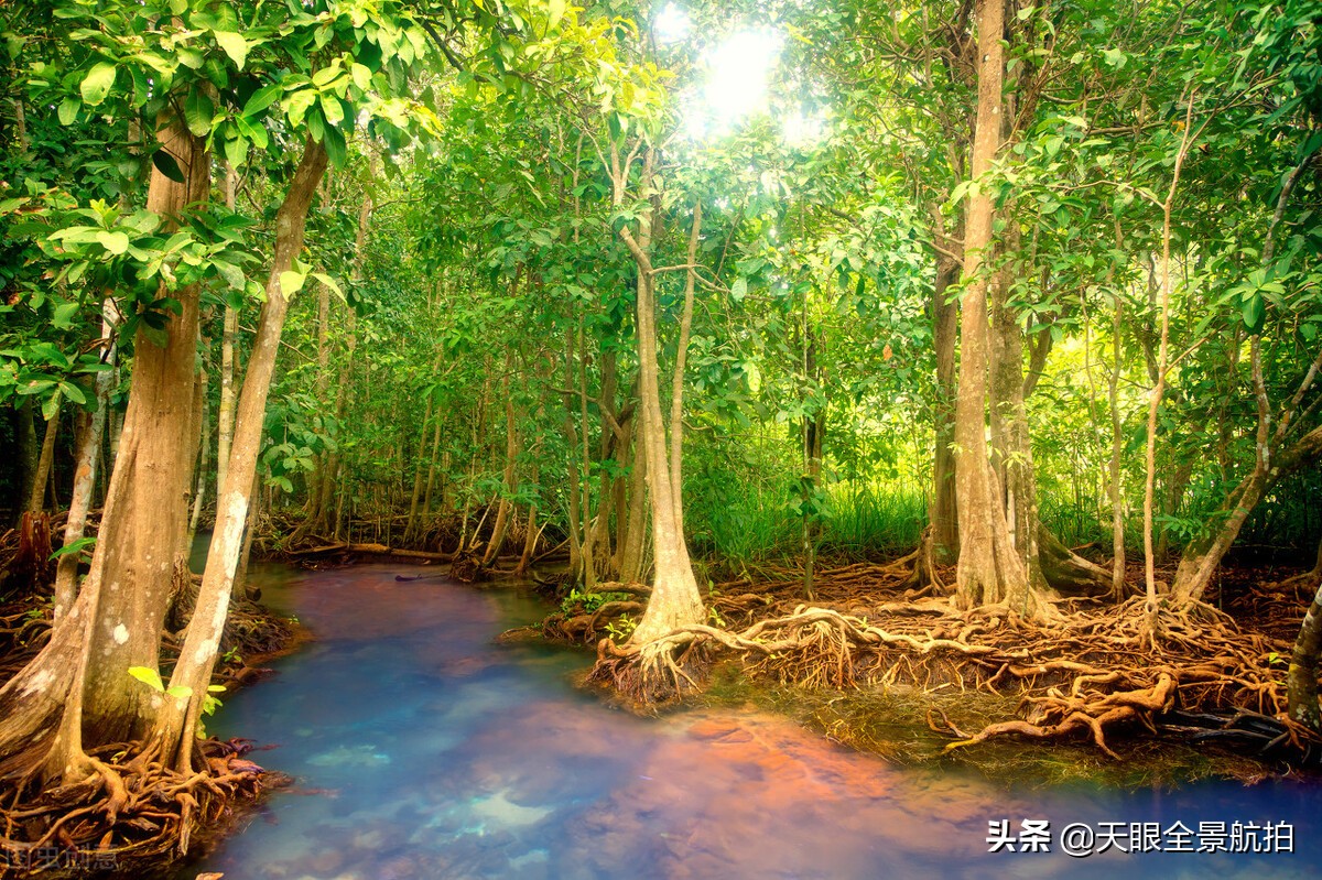 广东2-3天旅游攻略三日游,广东省三日游自由行攻略