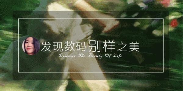 富士康手机自主品牌是什么,富士康手机