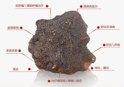 cctv7神奇的驼奶广告,cctv7白桦茸