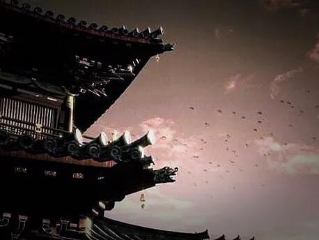 我们是没有信仰的,为什么我们没有信仰