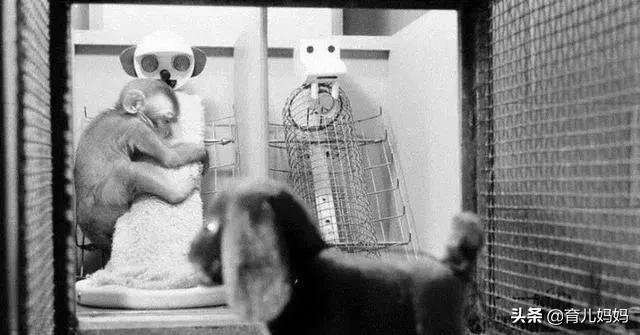 孩子四岁了依恋小毯子是什么原因,孩子对小毯子的依恋