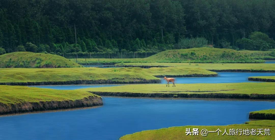原来它才是江苏最安逸城市，累了就去小住几天