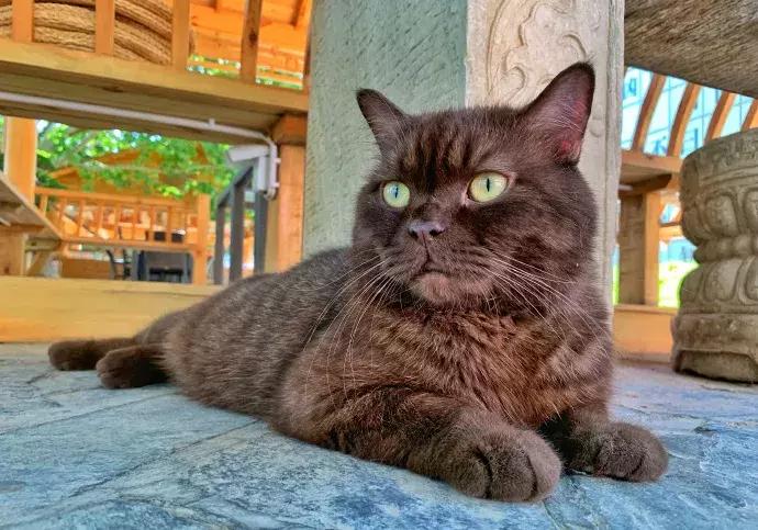 年纪大了老忘事语言表达也不利索,年龄大了忘事怎么办视频