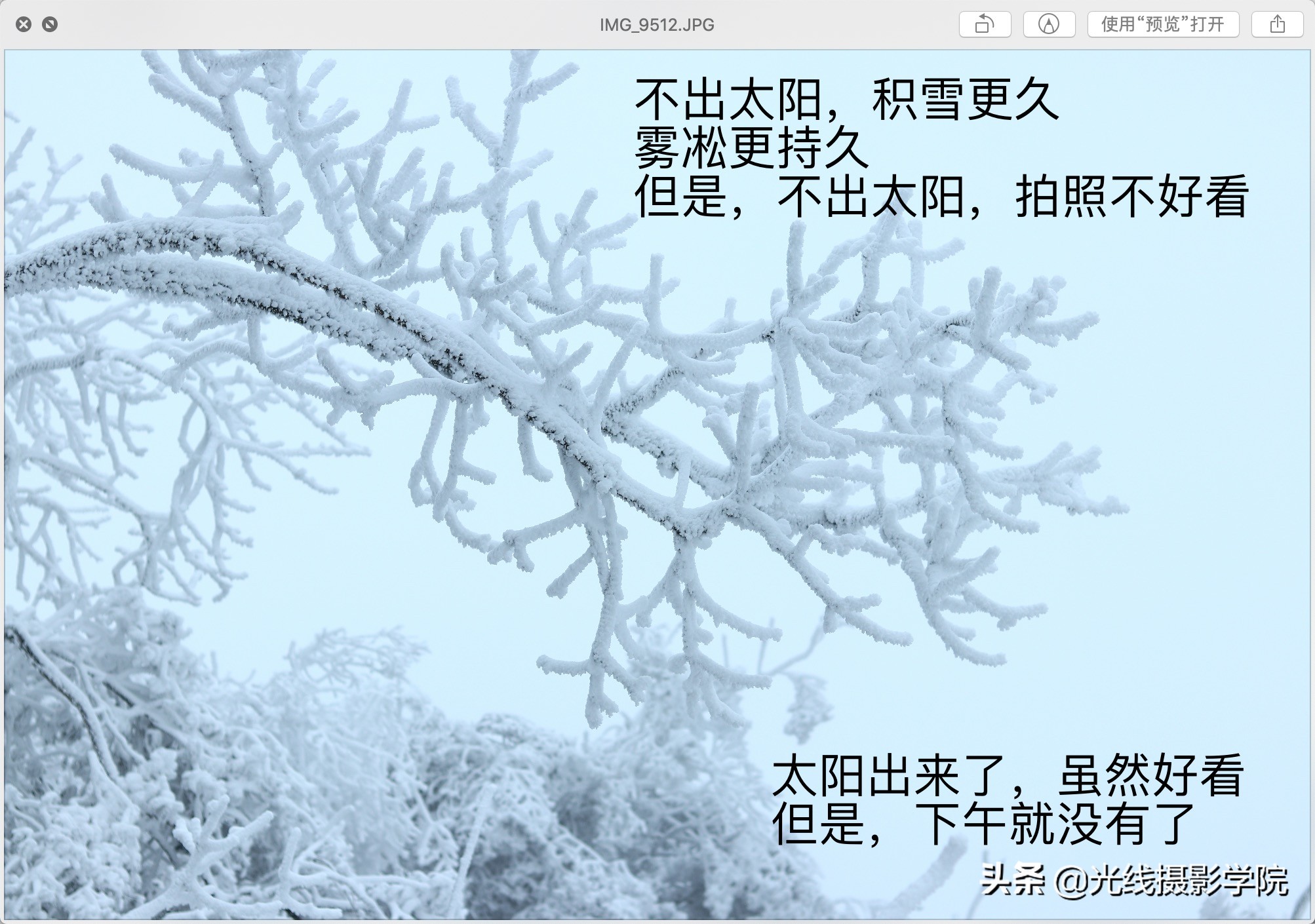 重庆金佛山冬季风景,重庆市金佛山旅游景区在下雪吗