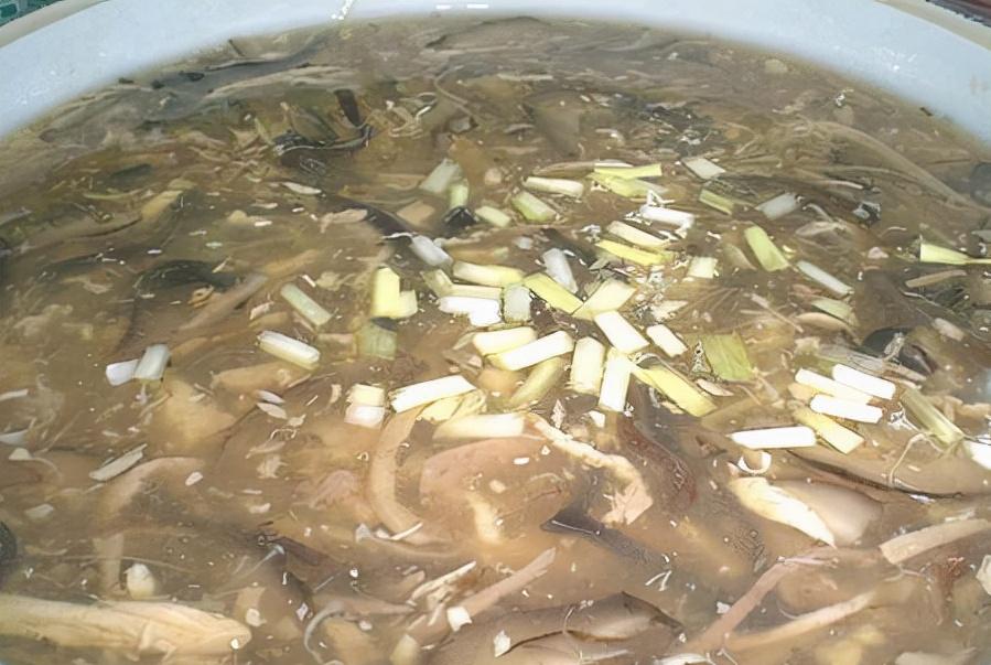 金环蛇的危险,最吓人的金环蛇