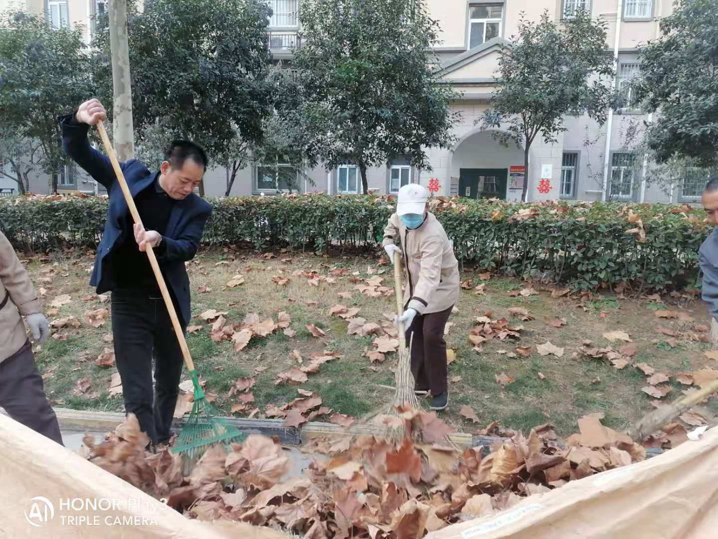 凤凰城二期物业管理,凤凰城物业现状