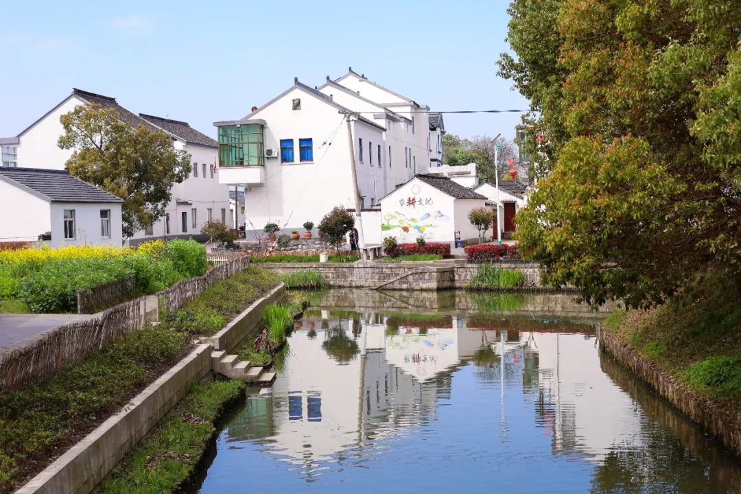 苏州的农村风光,苏州水乡农村风景
