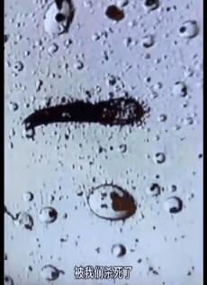 明星亲测有效的护肤品,明星亲测