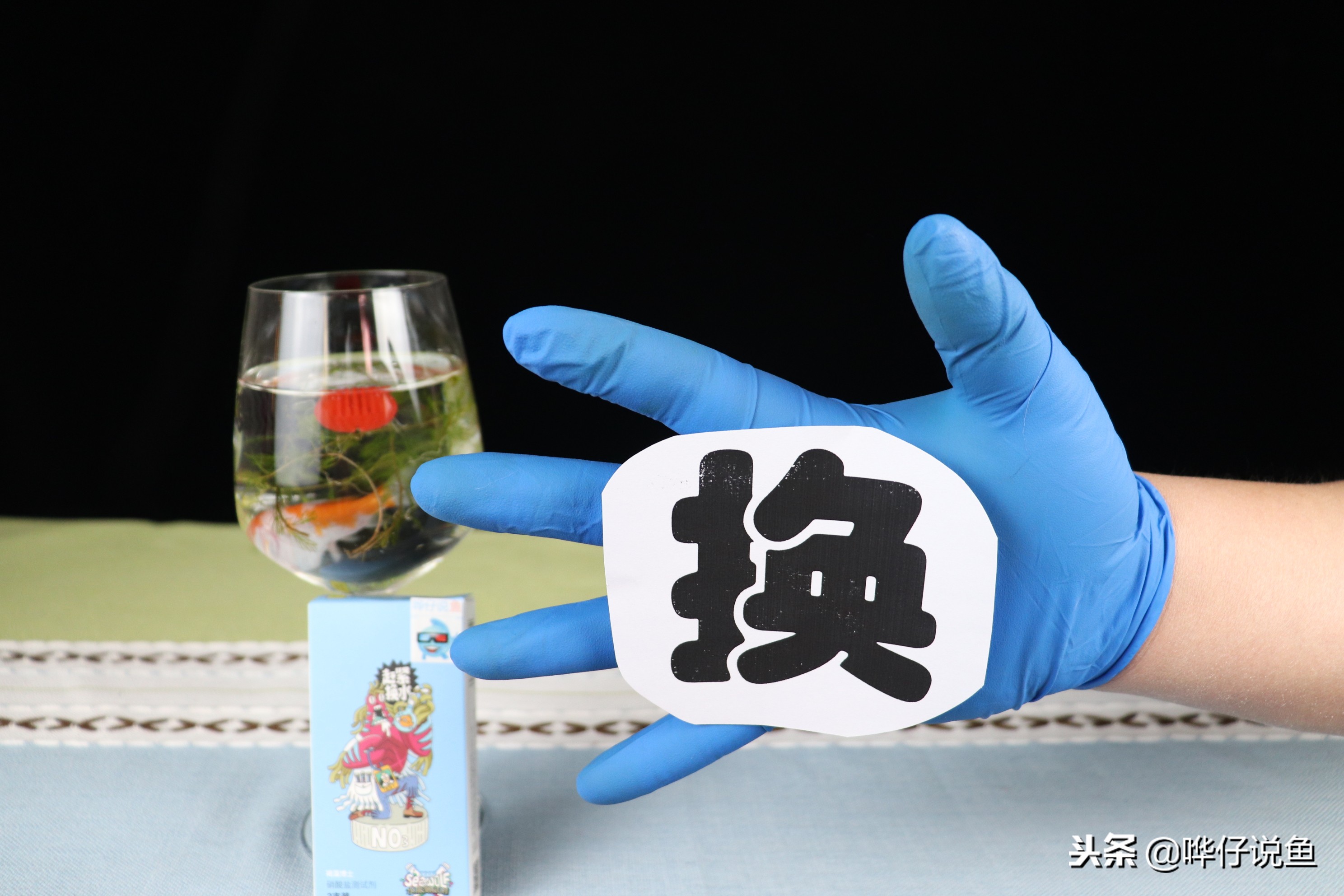 自家的鱼缸两三年没放水会臭吗,鱼缸可以一年不换水吗