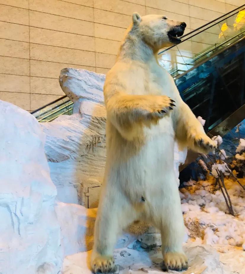 上海科技馆官网,上海科技馆球幕影院