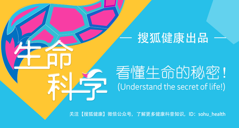 游泳后身体发痒起红疙瘩,游泳后身上痒起小疙瘩能继续游吗
