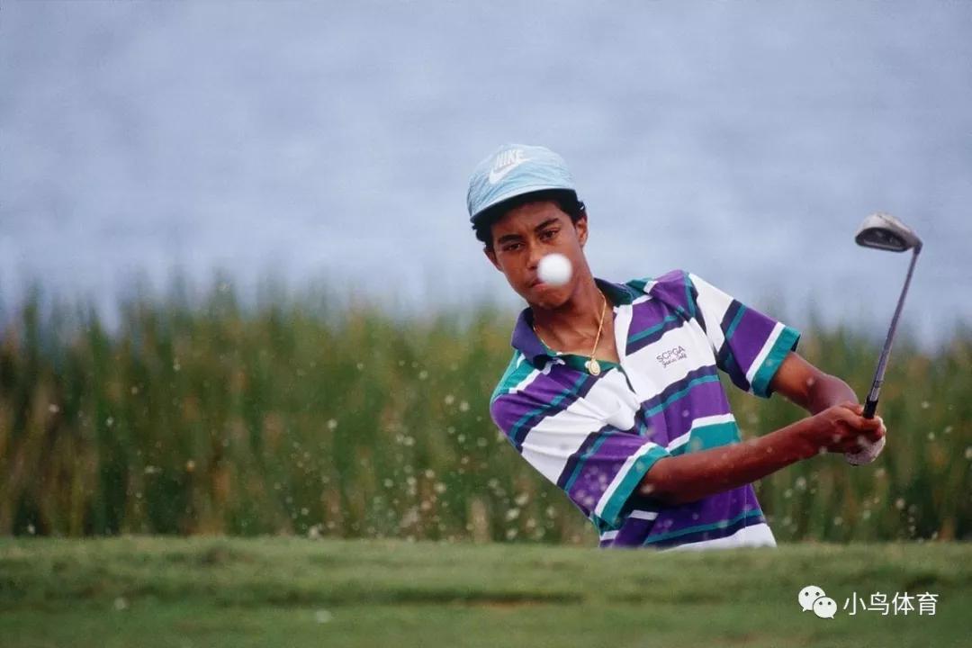 老虎伍兹11岁人生巅峰,老虎伍兹乔丹