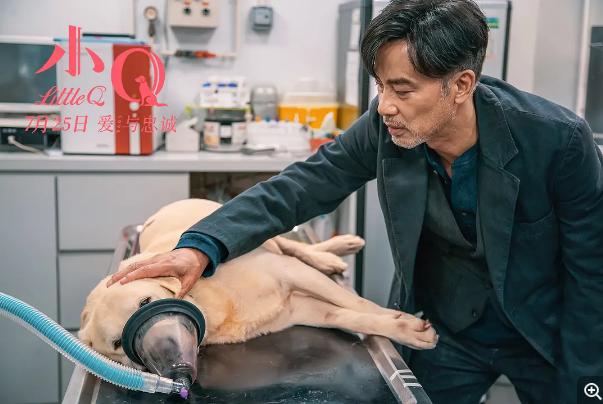 NG次数打破从影记录,任达华的《小Q》本就与众不同