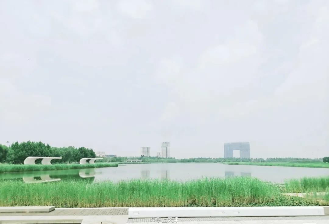 今年武清区有什么大发展,关于天津武清区发展报告