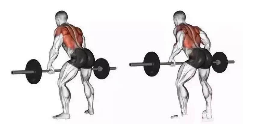 健身背部训练上背痛,健身背部酸痛还可以继续练背吗