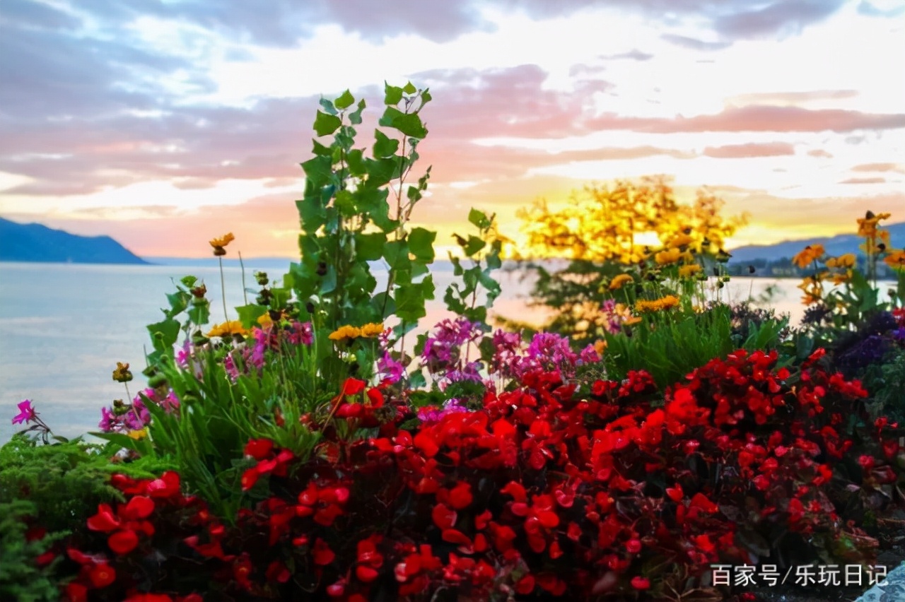 爵士小镇青岛,爵士小镇蒙特勒