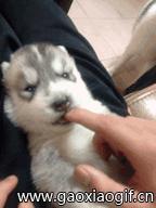 国足守门员喝水搞笑gif动图,守门员搞笑动图