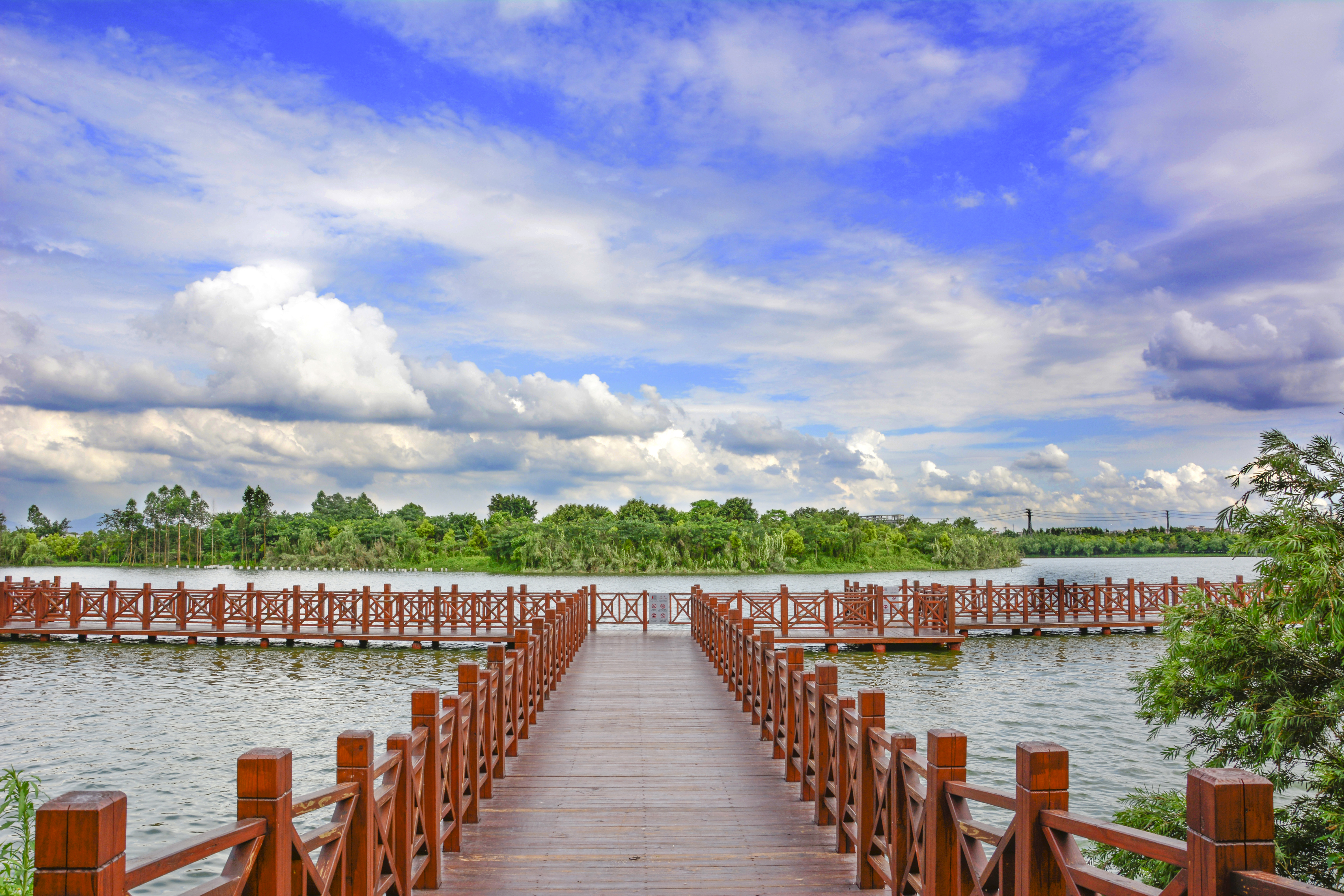 东莞农业园哪里好玩的,东莞生态农业园