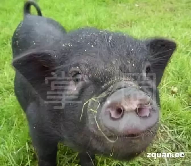 NO.916:阿克苏本地交通、天气、求职招聘、出租转让、农林牧副渔