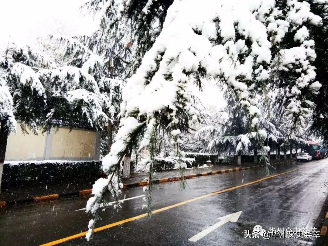 娴峰娓稿瓙鎬濅埂鎯呯粨,娴峰娓稿瓙涓浗