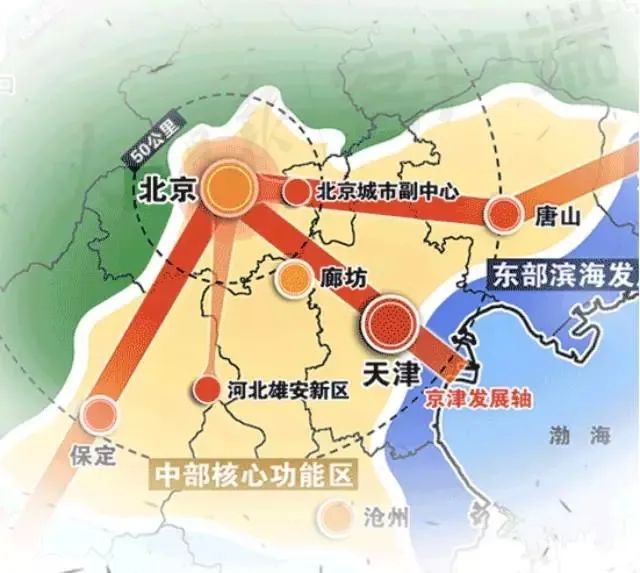 许振东教授照片,许振东视频讲座全集